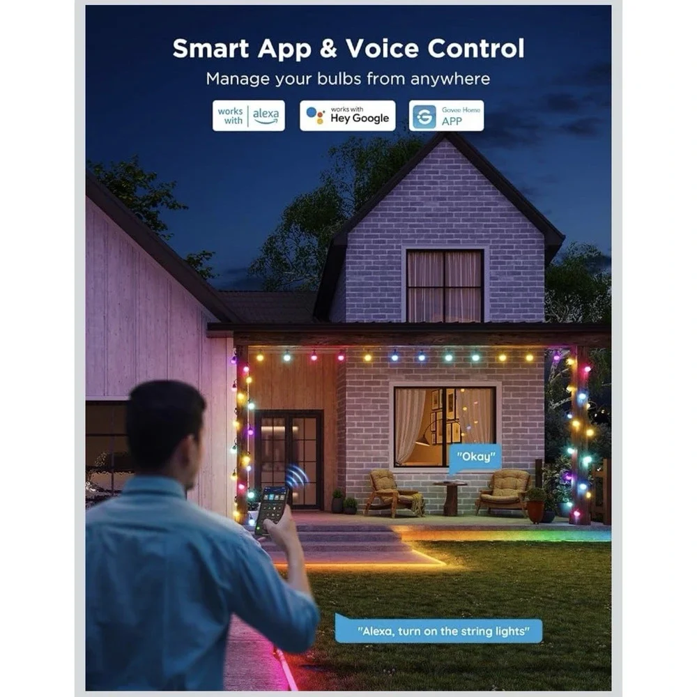 Govee outdoor lights
